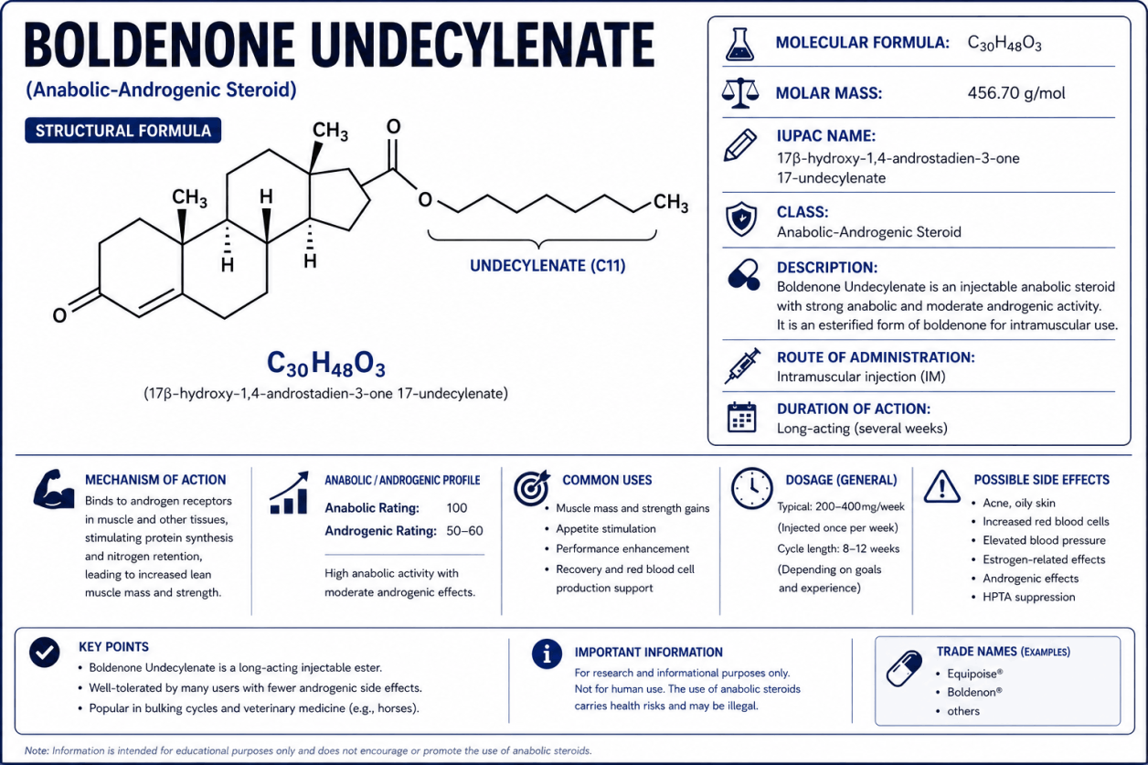 Boldenone in bodybuilding – information on effects, risks and properties