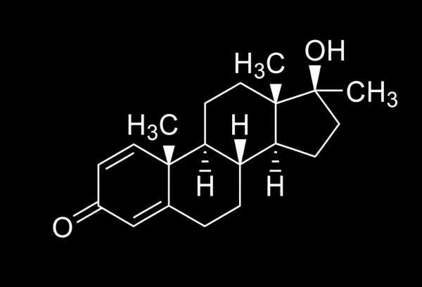 Chemical structural formula of Methandienone on the Drachensang Academy homepage – Advanced compound characteristics and hypertrophy science evaluation