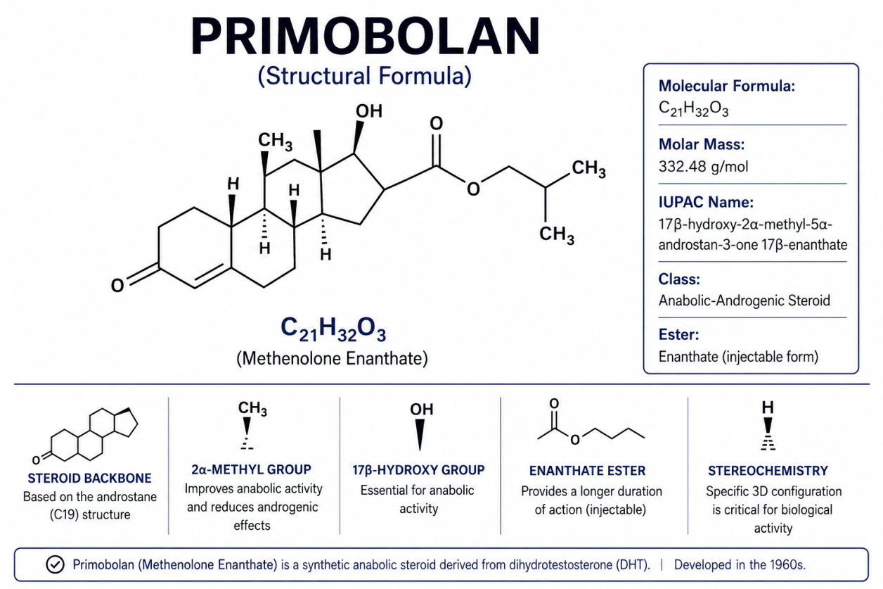 Structural formula of Primobolan (Methenolone), showing the molecular structure of the anabolic-androgenic steroid.