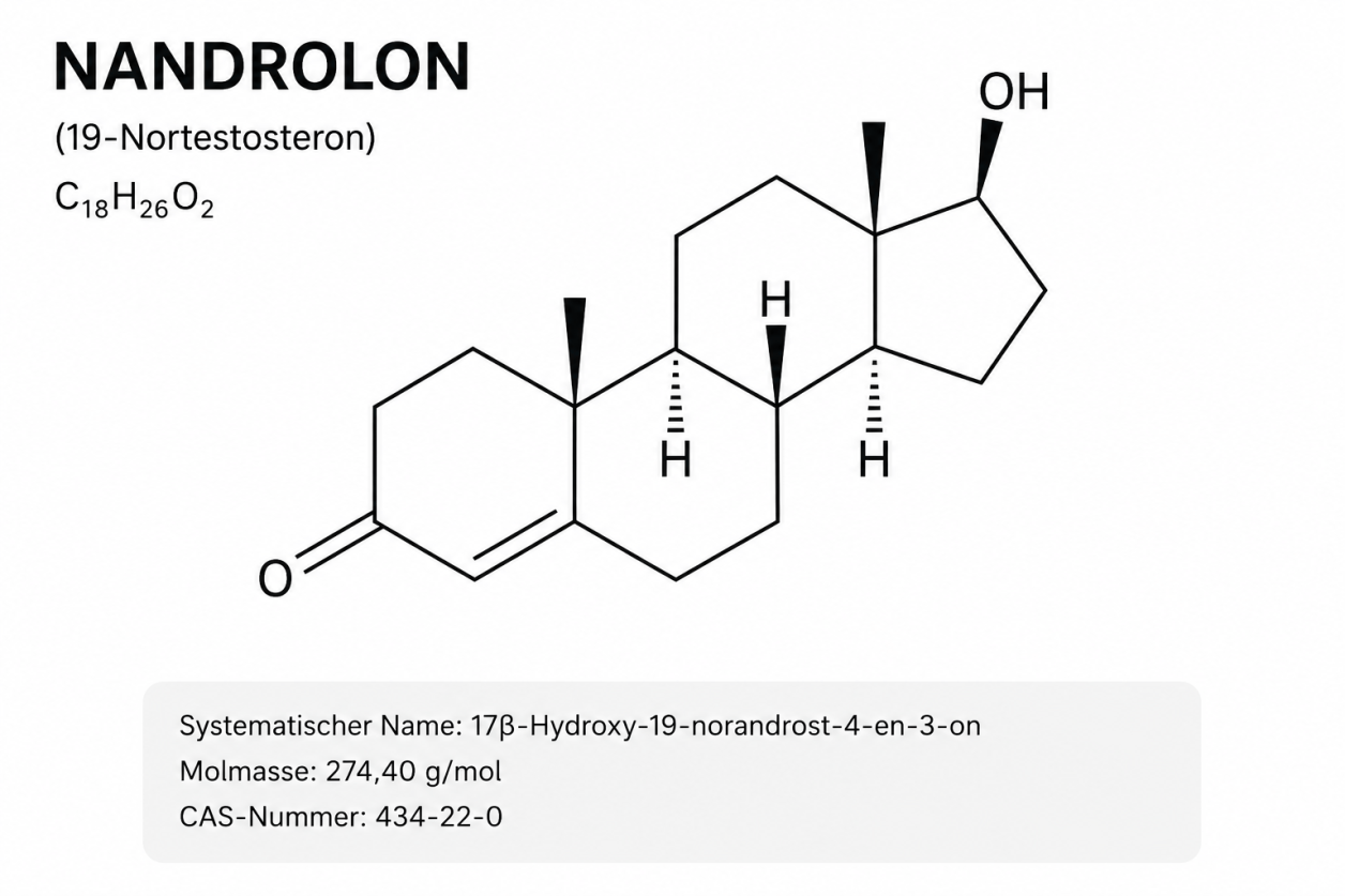 Structural formula of Nandrolone (19-nortestosterone) – Molecular configuration of the anabolic steroid for Drachensang Academy